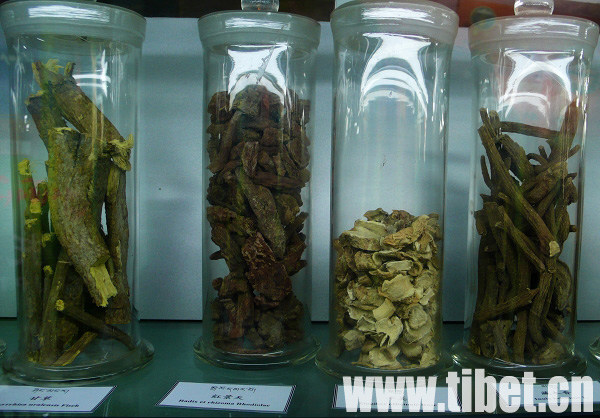 藏医药小常识：藏药的八性和十七效
