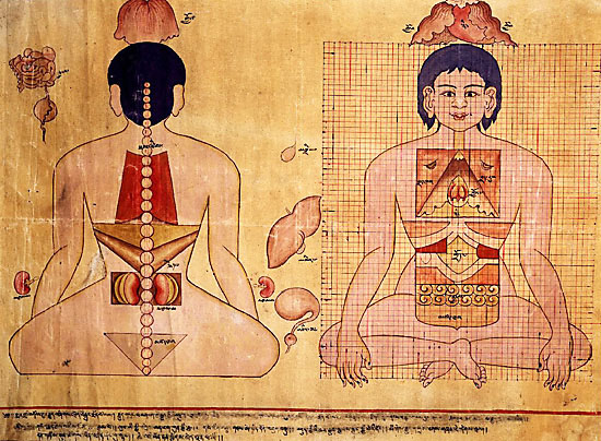 藏医人体学