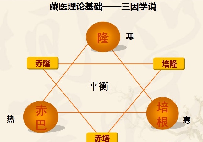 藏医的三因学说——隆、赤巴、培根