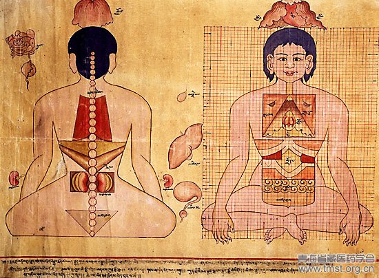 藏医诊断疾病的方法