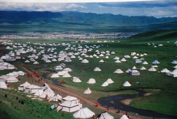 藏族民居文化的奇葩白帐篷