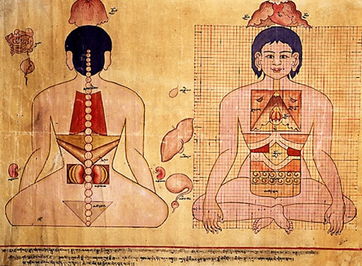 藏医疾病部分名称和症状简介