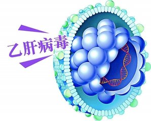 乙肝的治疗方案