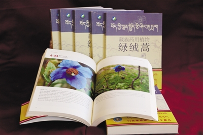 《藏族药用植物绿绒蒿》出版发行