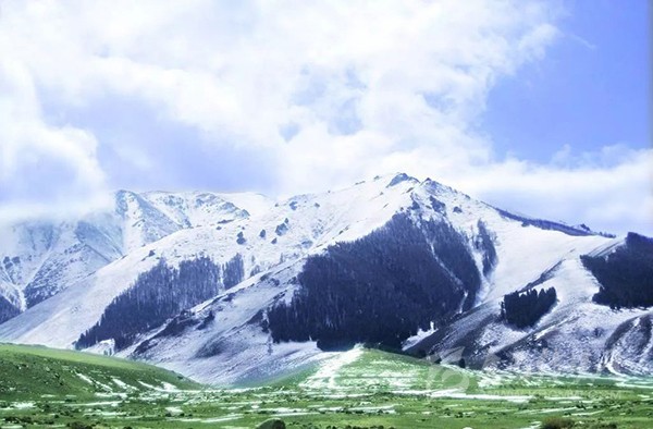甘孜大山深处的荷花海景区，待字闺中谁人识
