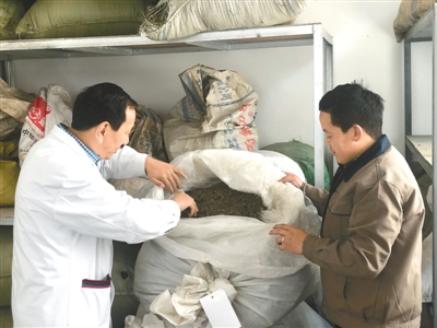 藏医药浴法：非物质文化遗产的瑰宝