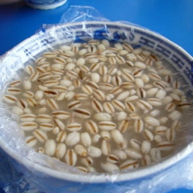 舌尖上的青海美食——甜醅