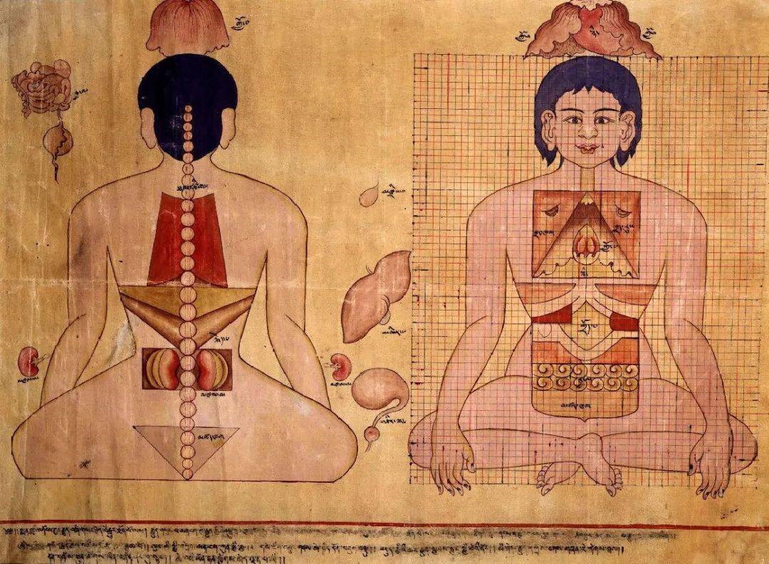 藏医外科手术早于西医千余年