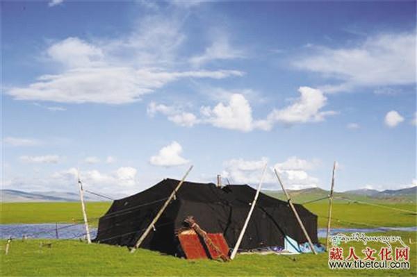 西藏民居在形式上有什么特色？