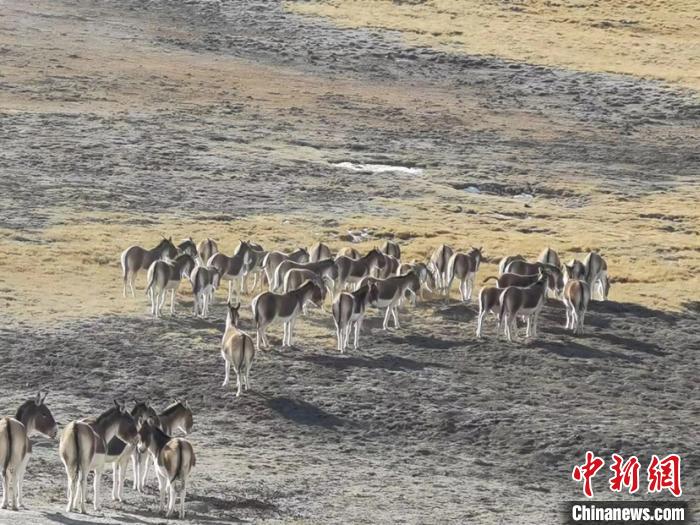 黄河源头绘就“人与自然和谐共生的美好画卷”