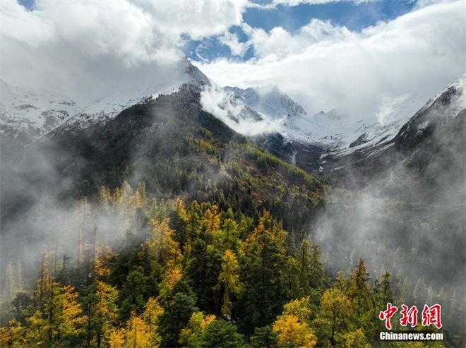 西藏林芝：雪山与层林尽染 秋日风光无限