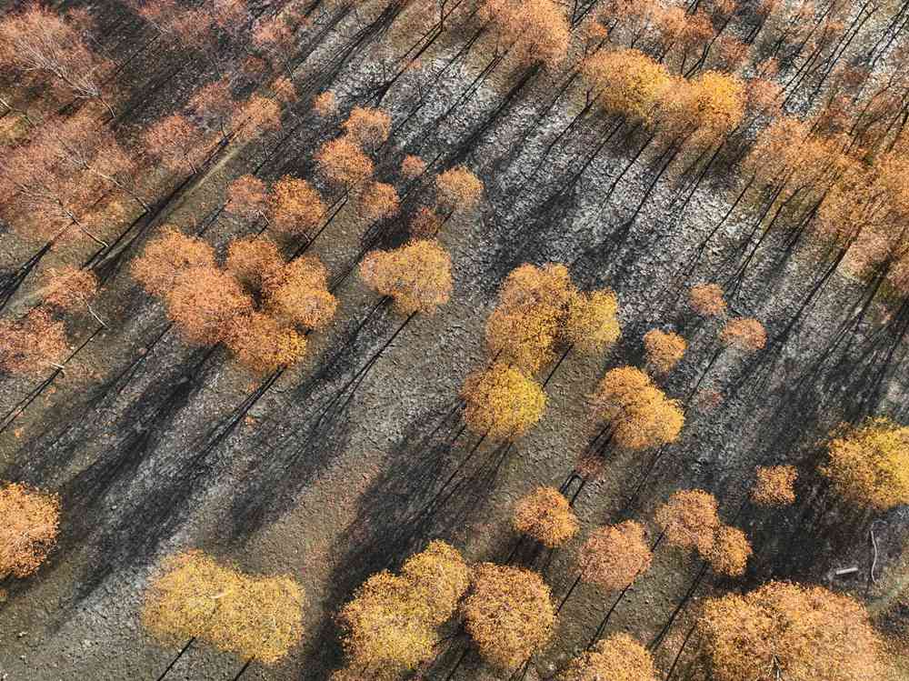 秋冬之交 西藏雅鲁藏布大峡谷尽显换季之美