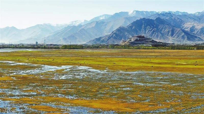 世界湿地日·高原湿地美