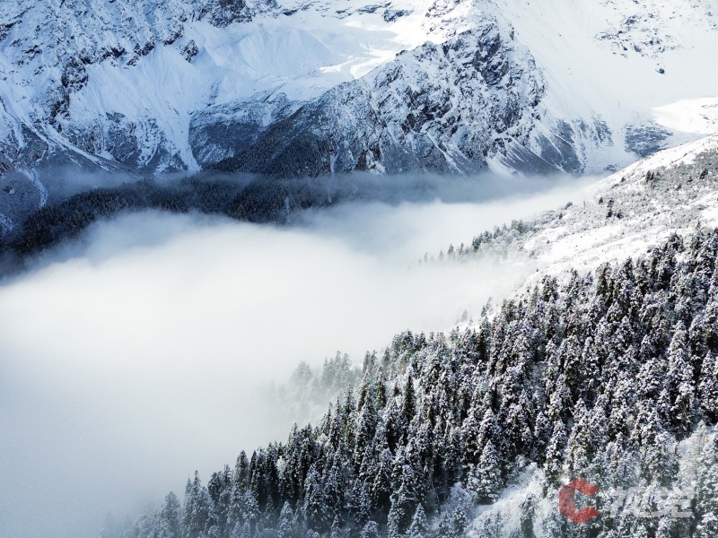 初雪邂金秋 阿坝霸王山迎震撼银装