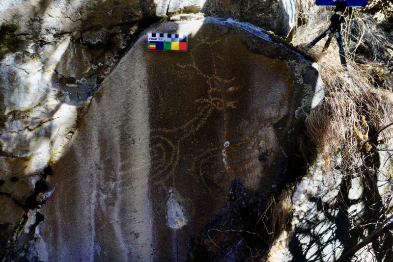 乡城县首次发现古老岩画，填补当地历史空白